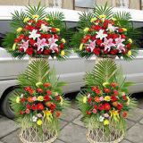 ܿʻԤ
